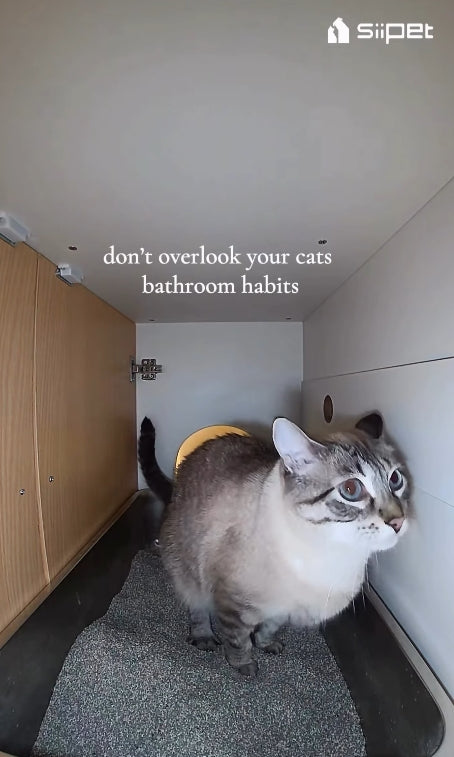 "So helpful for keeping tabs on Gigi and Obi’s litter box habits! Works with ALL types of litter boxes🐾"
