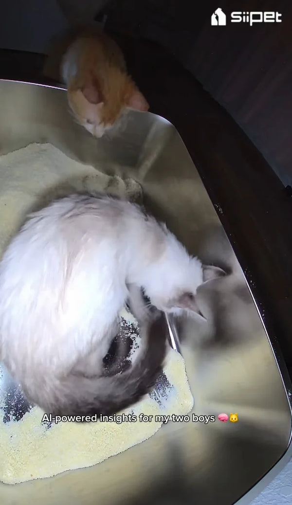 "We get health alerts directly through the app, so we don’t miss important changes anymore. "