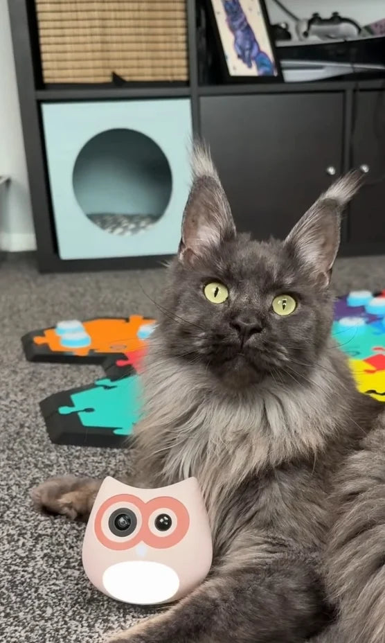 "It's hard to work out who’s doing what in multi-cat home. The LitterLens track what’s going on instead of guessing."