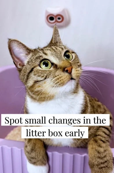 “Changes in a cat’s bathroom habits can indicate illnesses, and the LitterLens takes the guesswork out!"