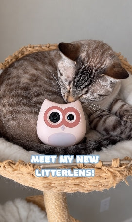 "I especially love the multi cat tracking because it makes it so much easier to know who’s doing what!"