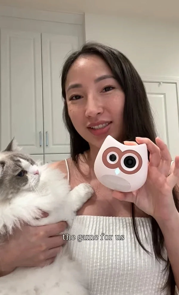 "Keep tracking Ponyo and Luna’s health. No more guessing, just clear, data-driven peace of mind"