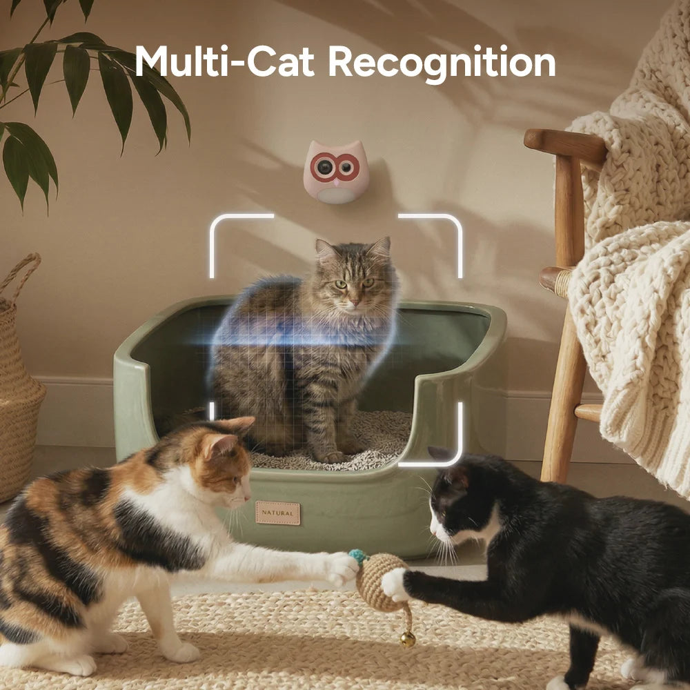 Three cats interacting with a pet product labeled 'Multi-Cat Recognition' in a home setting.