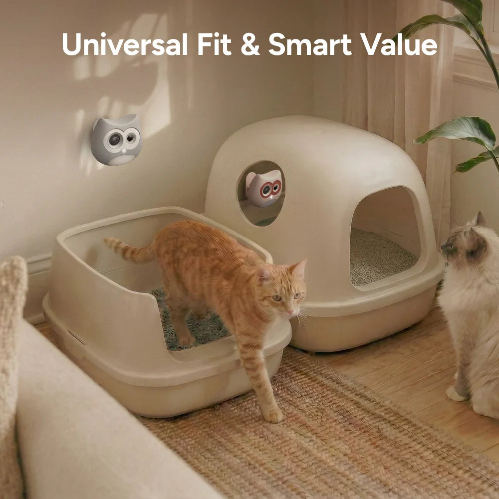 Two cats interacting with a pet litter box and cat house in a home setting.