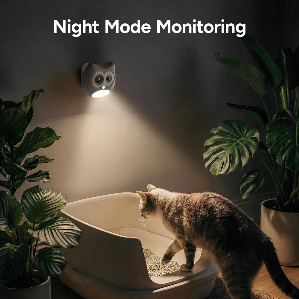 Cat using a litter box with night mode monitoring light on a dark background