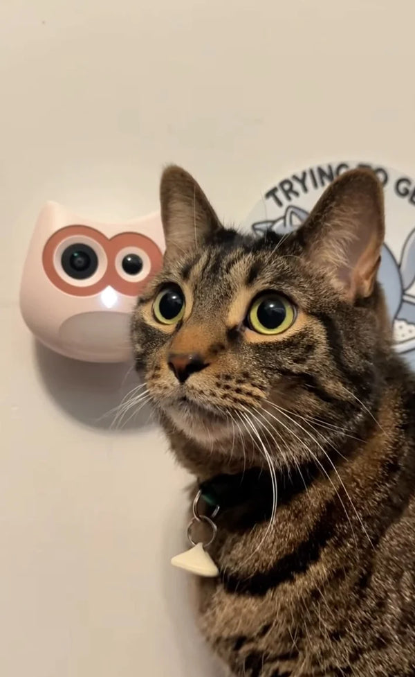 "OBS! Sushi lost some weight and was a bit dehydrated, so the vet told me to keep an eye on jher bathroom habits."